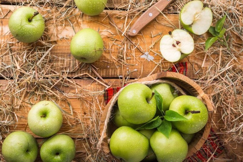 dieta jablkowa zasady jadlospis efekty odchudzanie w domu bl og