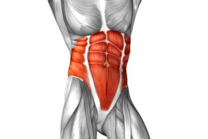 rozciaganie mięśni brzucha blog atlas cwiczen stretching
