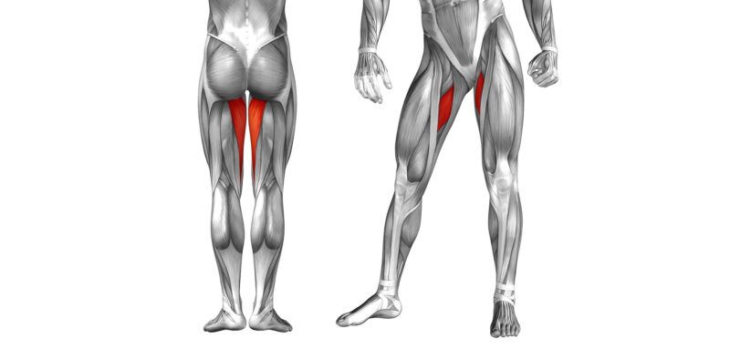 rozciaganie mięśni wewnętrznych ud blog atlas cwiczen