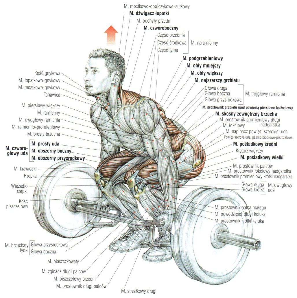 martwy ciąg ze sztangą na prostych nogach