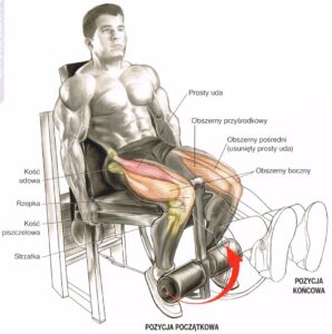 prostowanie nóg w siadzie ćwiczenia na maszynie siłownia ćwiczenia na uda ćwiczenia na nogi
