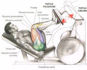 wypychanie nóg na suwnicy wypuchanie ciężaru na maszynie ćwiczenia na uda